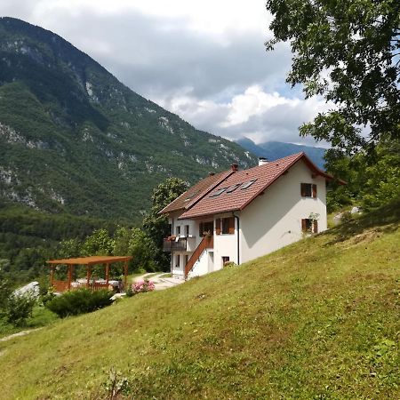 Апартаменты Apartma Elizabeth Srpenica Экстерьер фото